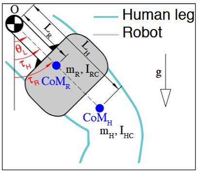 Model of the hip exoskeleton and human leg