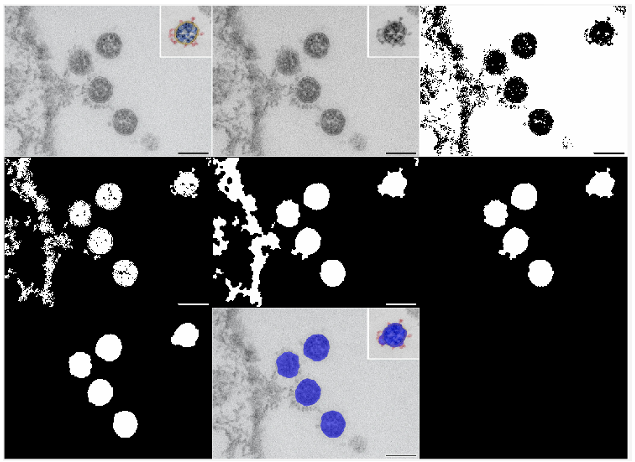 Testing images - pipeline of image processing the raw TEM images to masking the 